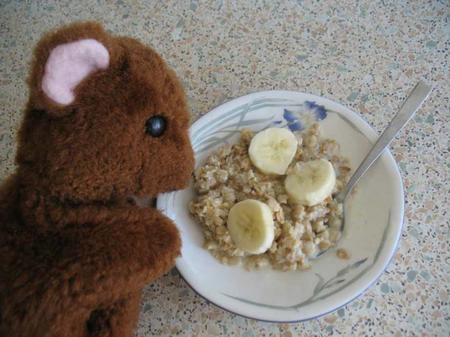 Brown Teddy oatmeal porridge banana
