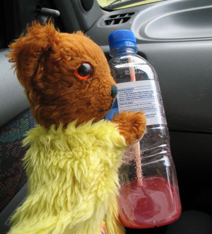Yellow Teddy with carrot and beetroot juice drink