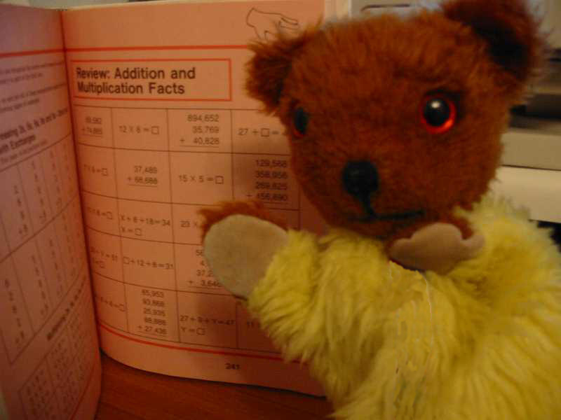 Yellow Teddy reading mathematics book