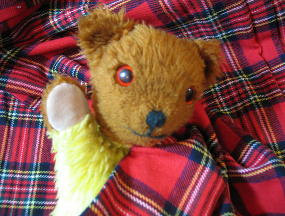 Yellow Teddy on tartan blanket