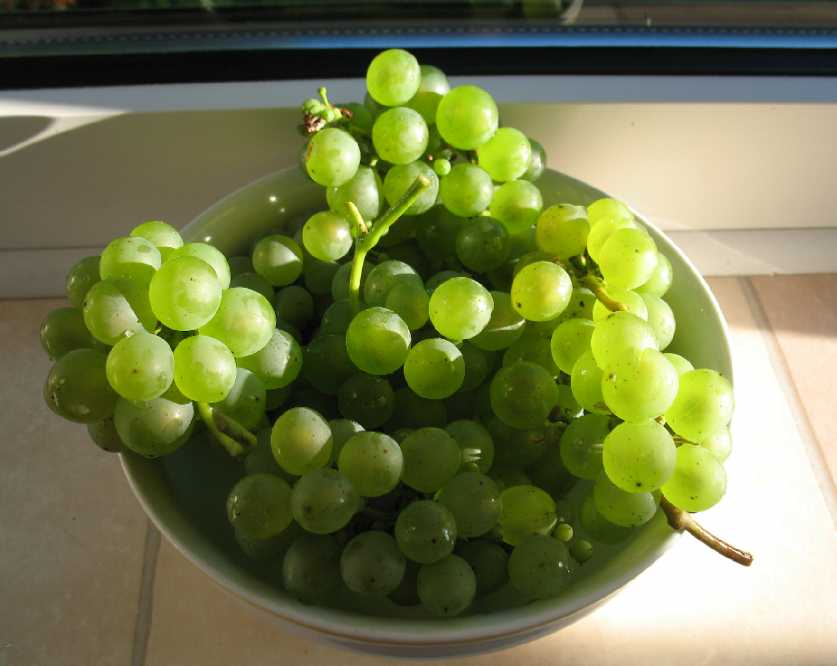 Home grown grapes