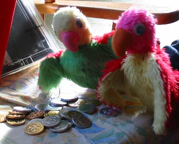 Parrots with chocolate money