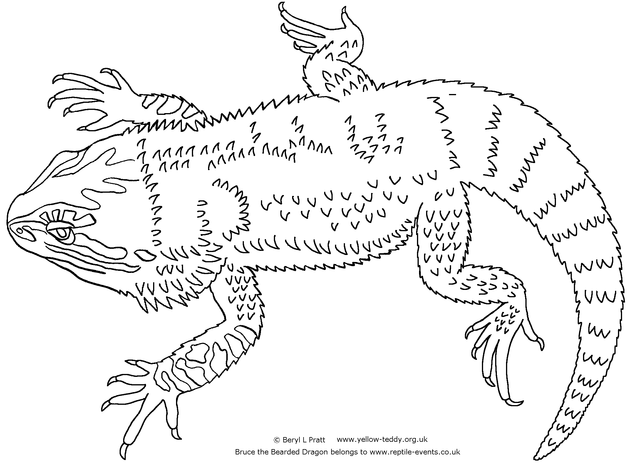 a to z reptile coloring pages - photo #18