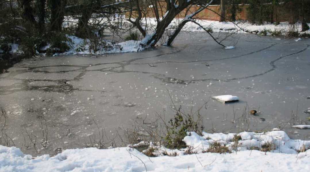 Pond ice marks