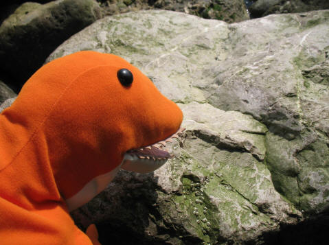 Dino looking for fossils in the rocks