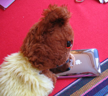 Yellow Teddy with the new Ipod