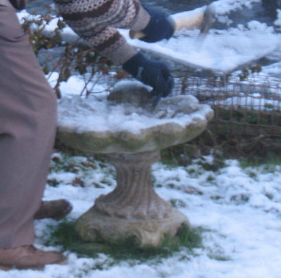 Chiselling ice out of the birdbath