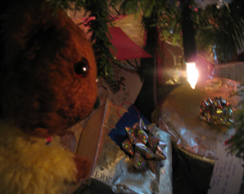 Yellow Teddy checking under the Christmas tree