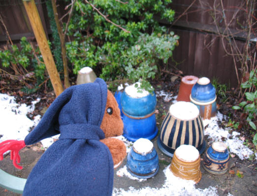 Brown Teddy and the pots with snowy hats