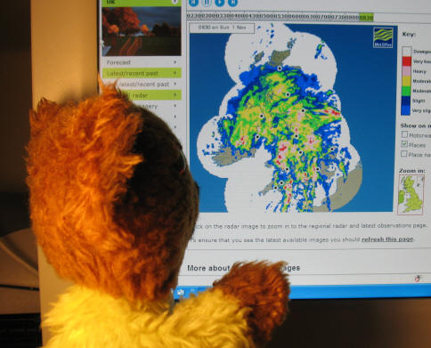 Yellow Teddy checking the Met Office weatherchart