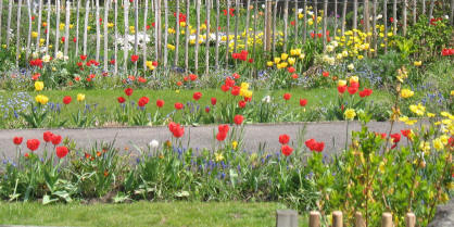 Lovely front gardens near Mote Park Maidstone