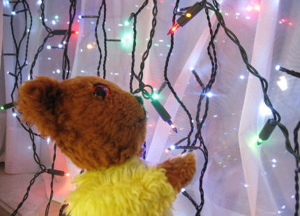Yellow Teddy with Christmas lights