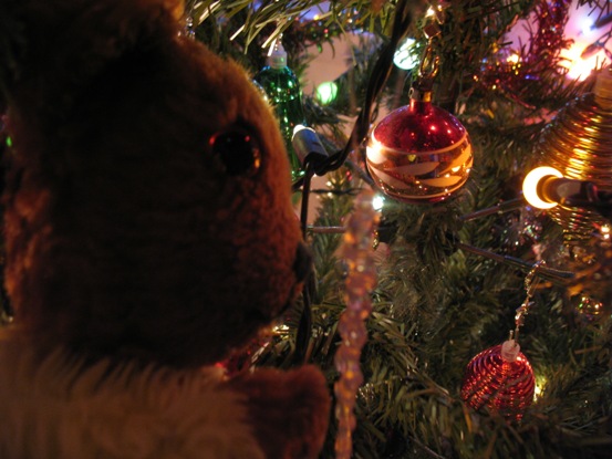 Yellow Teddy looking at Christmas tree decorations