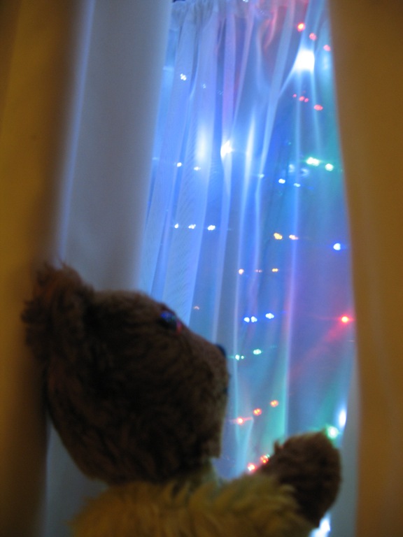 Yellow Teddy looking at window Christmas lights