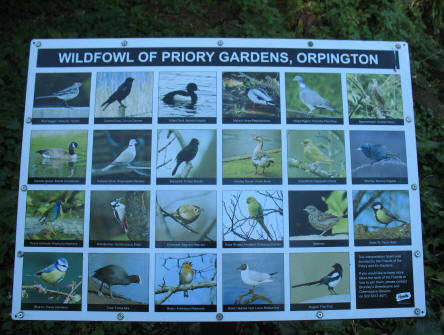 Bird identification noticeboard, Orpington Priory Gardens, Kent