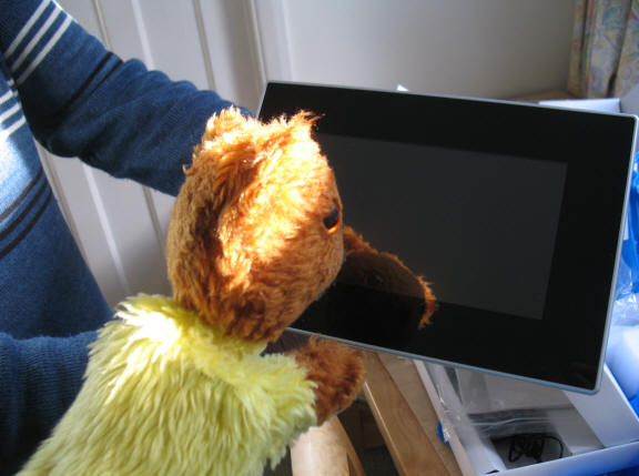 Yellow Teddy with digital photo frame