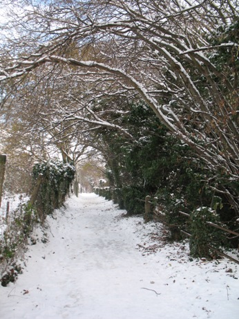 Snowy footpath Orpington