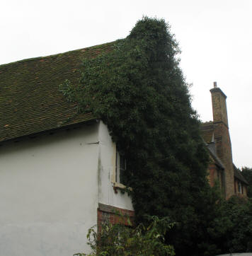 Ivy-covered house in Orpington Priory Gardens, Kent