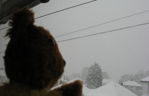 Yellow Teddy watching the snow fall