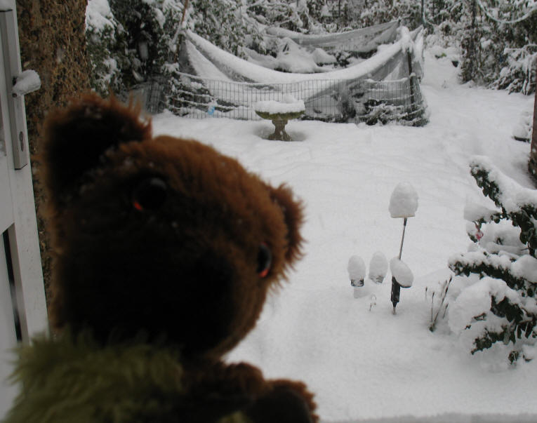Yellow Teddy looking at snowy garden