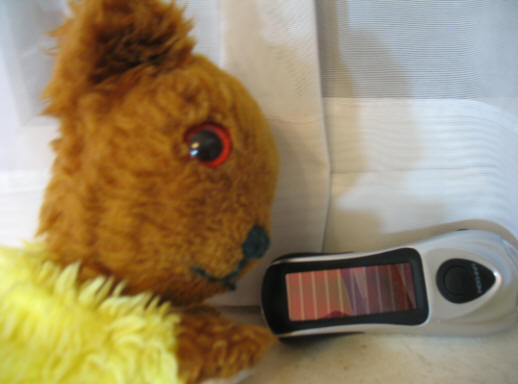 Yellow Teddy with solar windup torch
