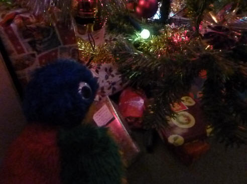 Blue Parrot checking the Christmas tree