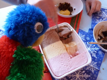 Blue Parrot supervising cutting of ice cream