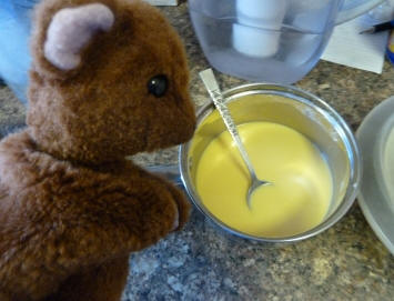 Brown Teddy making smooth custard