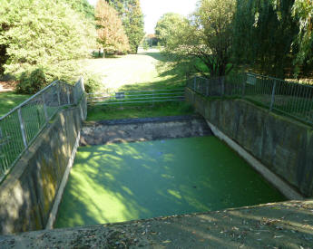 Hall Place Bexleyheath - Water with duckweed