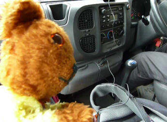 Hastings - Yellow Teddy in minibus