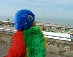 Margate - Blue Parrot watching the crazy golf