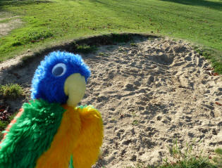 Mote Park Maidstone - Mini-golf sand hole