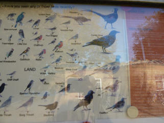 Mote Park Maidstone - List of birds on notice board