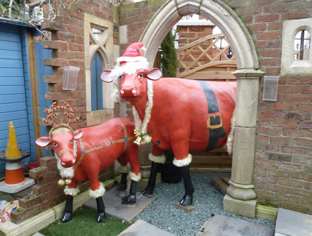 Ruxley Manor Garden Centre - Christmas cows