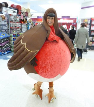 Orpington Walnuts Shopping Centre Christmas Robin Lady