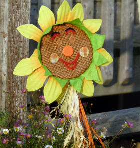 Whitstable - Happy sunflower