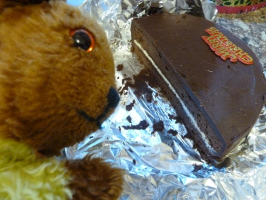 Yellow Teddy cutting chocolate Christmas cake