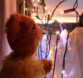 Yellow Teddy with Christmas lights at sunrise