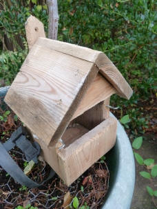Robin bird nest box
