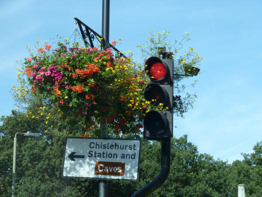 Chislehurst hanging basket on traffic lights
