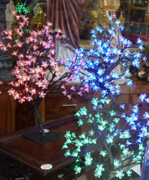 Illuminated tree lights