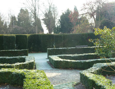 Priory Park frost on box hedging