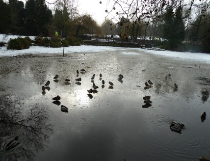 Priory Pond ice