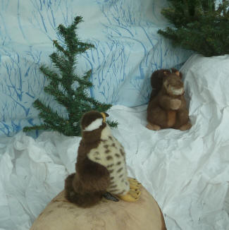 Sevenoaks - shop display with hawk and squirrel