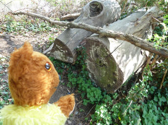 Yellow Teddy with logs along River Cray