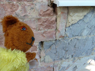 Yellow Teddy inspecting cracks