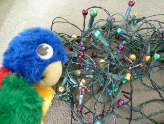 Blue Parrot with tangled Christmas lights