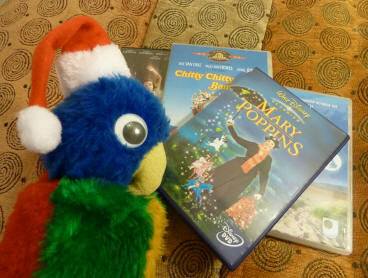 Blue Parrot deciding on a DVD