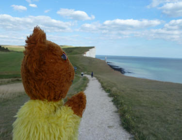 Yellow Teddy at Beachy Head