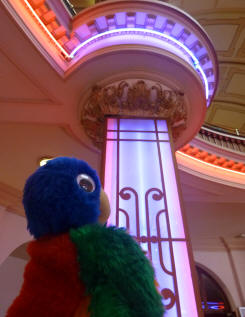 Blue Parrit admiring the neon lights inside the Kursaal